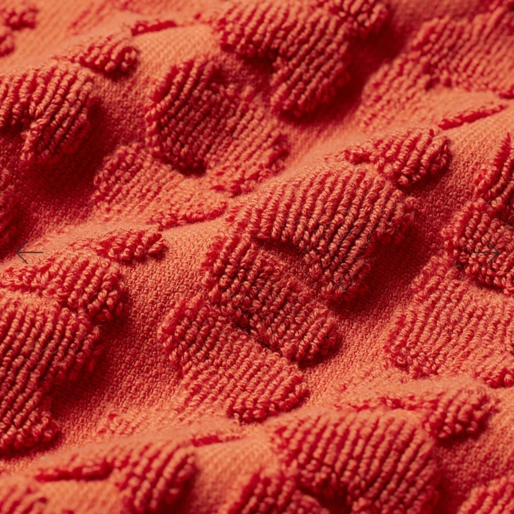 NWT Skims Signature Swim Towel Terra